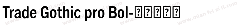 Trade Gothic pro Bol字体转换